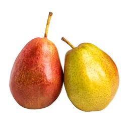 Bio-Birnen Santa Maria in Premium-Qualität bestellen - Natur.com