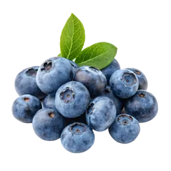 Bio-Blaubeeren in Premium-Qualität bestellen - Natur.com
