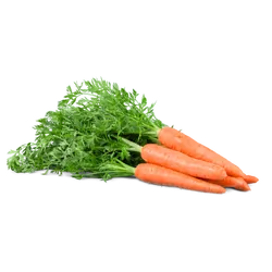 Bio-Bundkarotten in Premium-Qualität bestellen - Natur.com