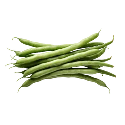 Bio-Buschbohnen in Premium-Qualität bestellen - Natur.com