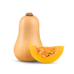 Bio-Butternut-Kürbisse in Premium-Qualität bestellen - Natur.com