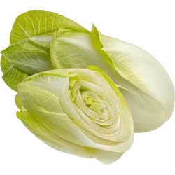 Bio-Chicorée in Premium-Qualität bestellen - Natur.com