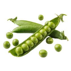Bio-Erbsen jung in Premium-Qualität bestellen - Natur.com