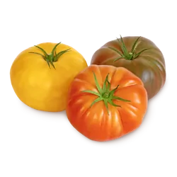 Bio-Fleischtomaten Ochsenherz in Premium-Qualität bestellen - Natur.com