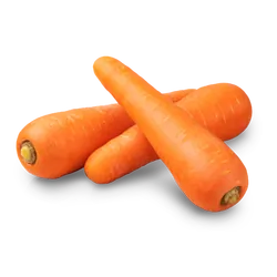 Bio-Frühkarotten in Premium-Qualität bestellen - Natur.com