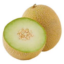 Bio-Galia-Melonen in Premium-Qualität bestellen - Natur.com