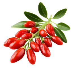 Bio-Gojibeeren in Premium-Qualität bestellen - Natur.com