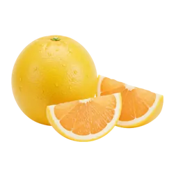Bio-Grapefruits weiß in Premium-Qualität bestellen - Natur.com