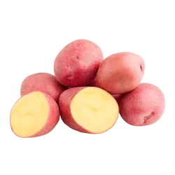 Bio-Kartoffeln Laura rotschalig in Premium-Qualität bestellen - Natur.com