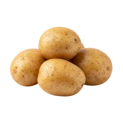 Bio-Kartoffeln Talent in Premium-Qualität bestellen - Natur.com