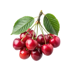 Bio-Kirschen in Premium-Qualität bestellen - Natur.com