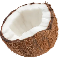 Bio-Kokosnüsse in Premium-Qualität bestellen Natur.com
