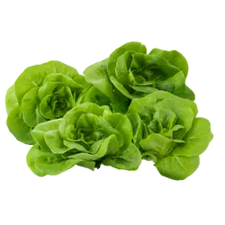 Bio-Kopfsalat grün in Premium-Qualität bestellen - Natur.com