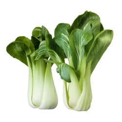 Bio-Pak Choy in Premium-Qualität bestellen - Natur.com