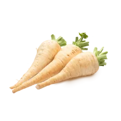 Bio-Pastinaken in Premium-Qualität bestellen - Natur.com