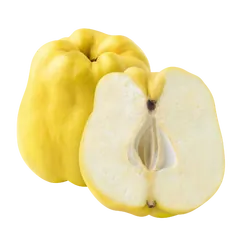 Bio-Quitten in Premium-Qualität bestellen - Natur.com