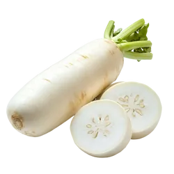 Bio-Rettich weiß in Premium-Qualität bestellen - Natur.com