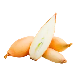Bio-Schalotten in Premium-Qualität bestellen - Natur.com