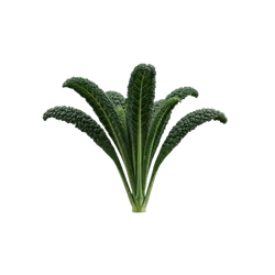 Bio-Schwarzkohl in Premium-Qualität bestellen - Natur.com