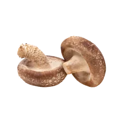 Bio-Shiitake-Pilze in Premium-Qualität bestellen - Natur.com