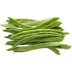 Bio-Stangenbohnen in Premium-Qualität bestellen - Natur.com
