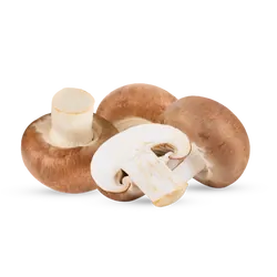 Bio-Steinchampignons in Premium-Qualität bestellen - Natur.com