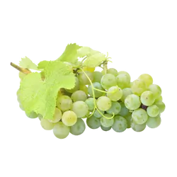 Bio-Trauben weiß kernlos in Premium-Qualität bestellen - Natur.com