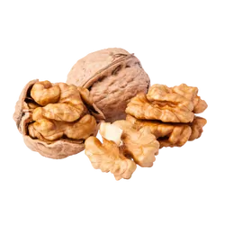 Bio-Walnüsse in Premium-Qualität bestellen - Natur.com