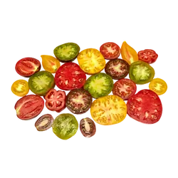 Bio-Wilde Tomaten in Premium-Qualität bestellen - Natur.com