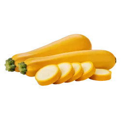 Bio-Zucchini gelb in Premium-Qualität bestellen - Natur.com