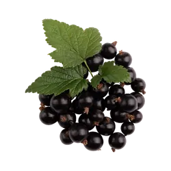 Schwarze Bio-Johannisbeeren in Premium-Qualität bestellen - Natur.com