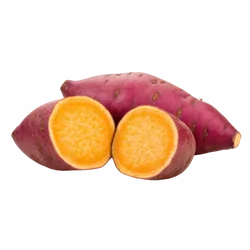 Bio-Süßkartoffeln violett in Premium-Qualität bestellen - Natur.com
