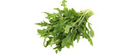 Produktbild: Rucola (Bund)