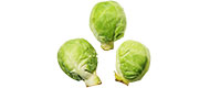 Rosenkohl (1 kg)