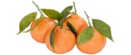 Clementinen (1 kg)