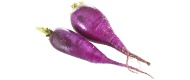 Rettich, lila (1 kg)