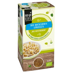 Bockshornklee im Sprossenbeutel