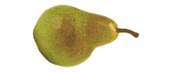 Image of Birnen Packham