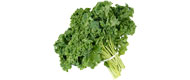 Grünkohl (1 kg)