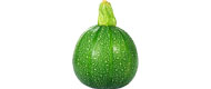 Kürbis Rondini (1 kg)