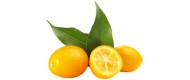 Kumquats