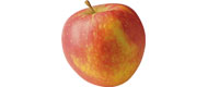Image of Früh-Äpfel Discovery
