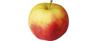 Image of Früh-Äpfel Hana