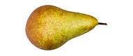 Birnen Concorde