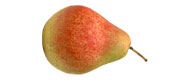 Birnen Clapps Favorita