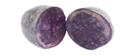 Kartoffeln Purple Rain (1 kg)
