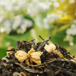 Edler Grüntee mit Jasminblüten